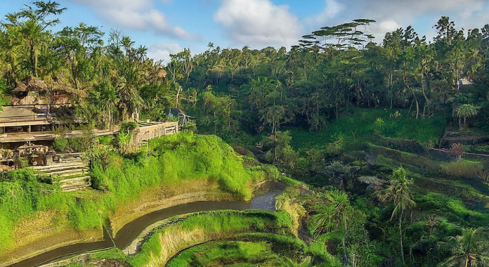 Image showcasing the beauty of Bali