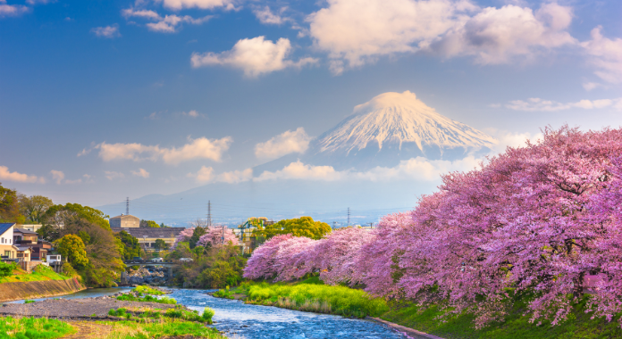 Image showcasing the beauty of Japan