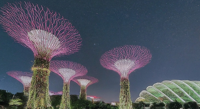 Image showcasing the beauty of Singapore and Malasia